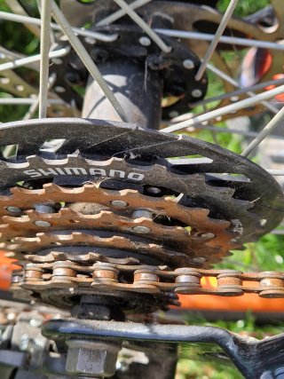 Gebrauchtes Mountainbike Rost